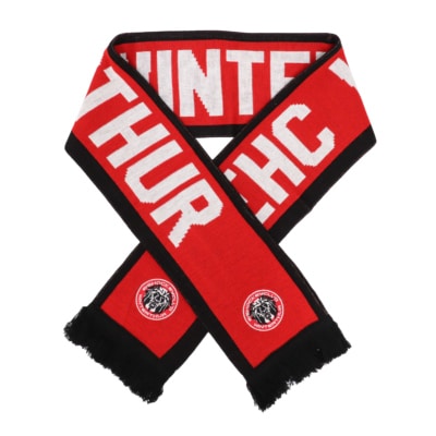 Schal "Fan" Saison 24/25