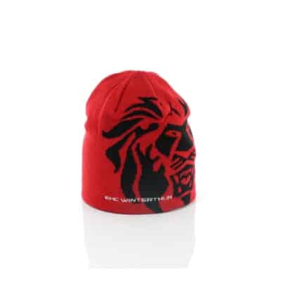 Beanie reversible